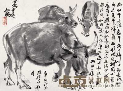 黄冑 水牛 横幅镜心 33.5×45cm